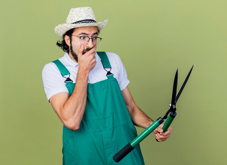 Biaya Jasa Tukang Taman per Meter Persegi