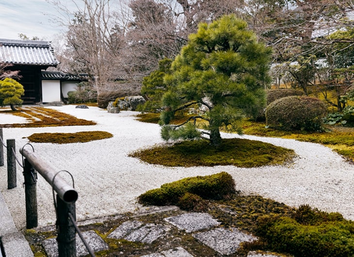Desain Taman dengan Batu Alam dan Rumput Jepang: Estetika Alami yang Elegan