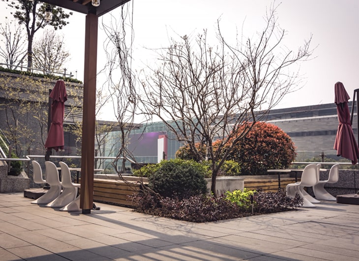 Inspirasi Desain Taman Kering Modern dan Elegan