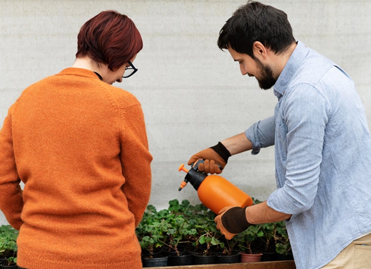 Keuntungan Menggunakan Jasa Tukang Taman Profesional